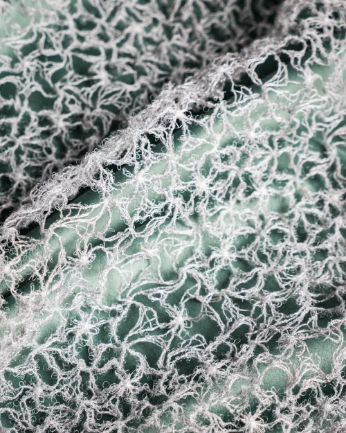 TXST VA44579 NOBIILTA